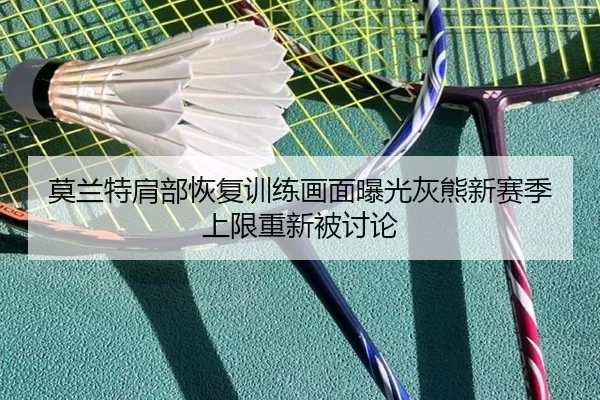 img_1782635182627_129_1_417.jpg